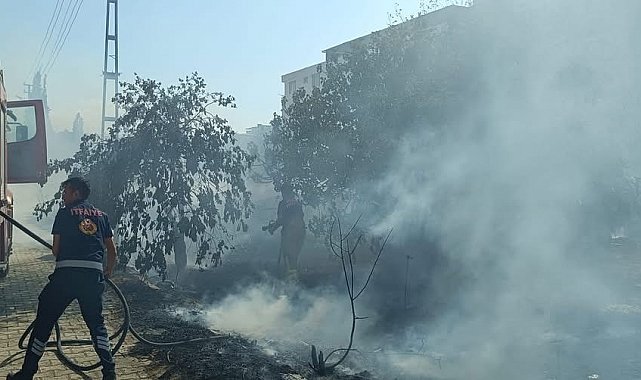 Defne'de çadır yangını