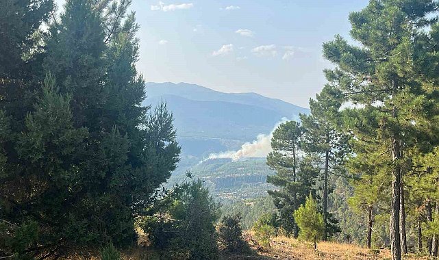 Denizli'de sarp bölgede devam eden yangına müdahale ediliyor