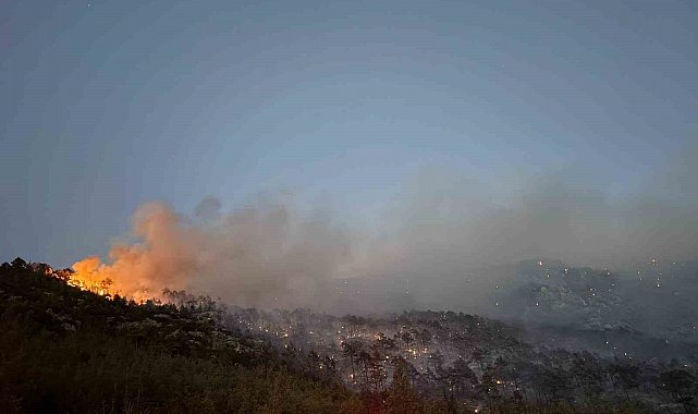 Denizli'deki orman yangını kontrol altına alındı