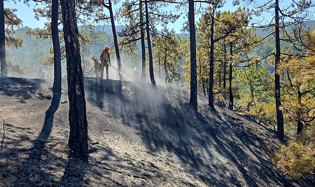 Denizli'deki orman yangınında 165 hektar alan kül olmaktan kurtarıldı