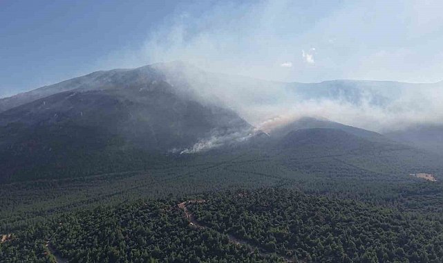 Denizli'deki yangın bölgesinde soğutma çalışmaları devam ediyor