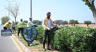 Didim'de çevre ve peyzaj düzenlemesi gerçekleştirildi