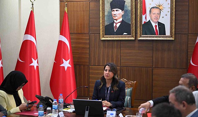 Diyarbakır'da, kadın hizmetleri bölgesel istişare toplantısı yapıldı