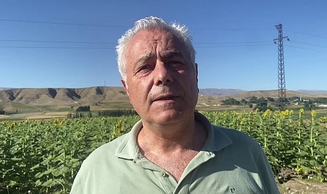 Doğu'da ayçiçeği ve mısır üretimi artıyor