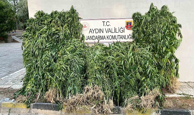 Dokuz ayrı suçtan aranan şahıs, Buharkent'te yakalandı