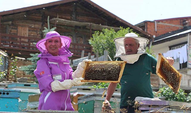 Dünyaca ünlü Anzer balında referans kovanlarında sağım gerçekleşti