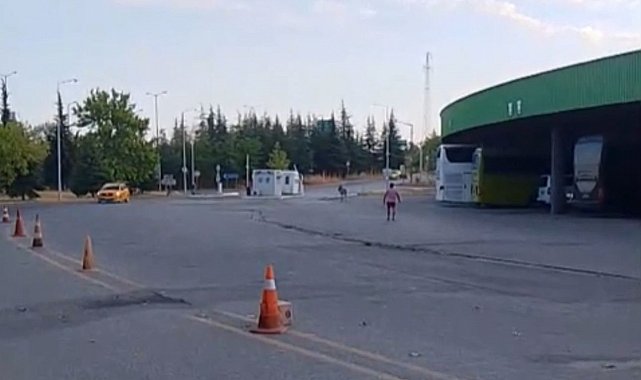 Edirne Otogarı'nda ilginç anlar: Eşek bu kez otobüs şoförünün yastığını çaldı