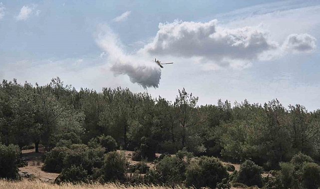 Edirne'de çıkan yangın ormanlık alana sıçradı: Havadan ve karadan müdahale ediliyor