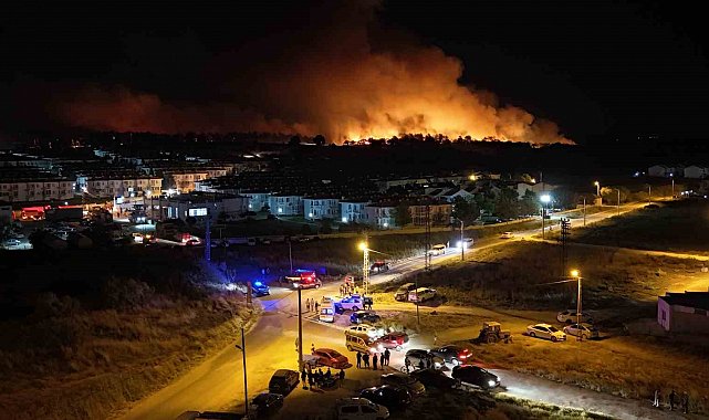 Edirne'de orman yangını: Alevlerin evlere sıçramasına ramak kaldı