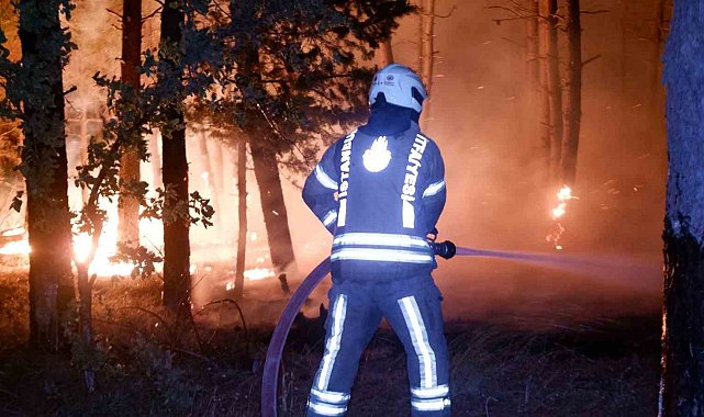 Edirne'de orman yangını: Köyler tahliye ediliyor