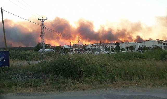 Edirne'de tarlada çıkan yangın ormanlık alana doğru ilerliyor