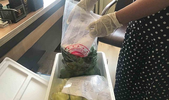 Elazığ'da pestisit denetimleri sürüyor