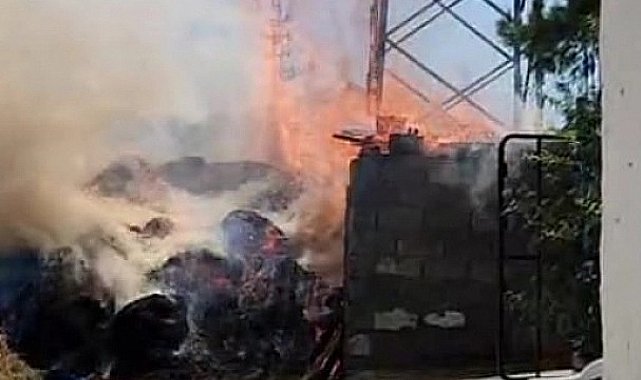 Elektrik kabloları odunlukta yangına neden oldu