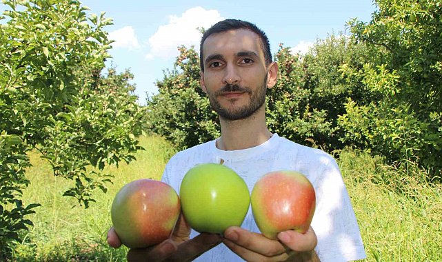 Elmalarını zirai dondan koruyan çiftçi hasada başladı: 80 ton rekolte bekliyor