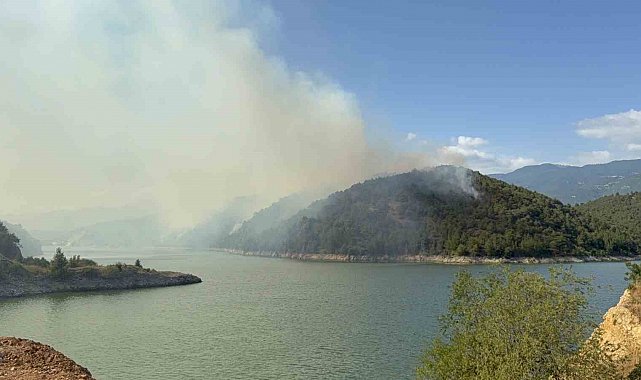 Erbaa'da orman yangını: 50 hektarlık alan kül oldu