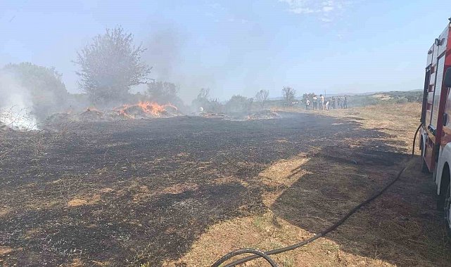 Erdek'te zeytinlik ve otluk alanda çıkan yangın söndürüldü