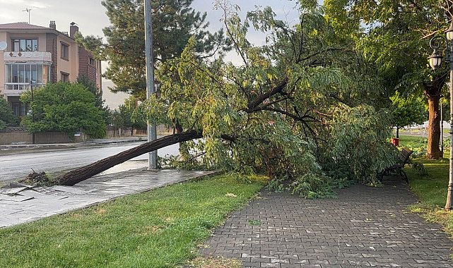 Erzincan'da sağanak ve fırtına hayatı felç etti