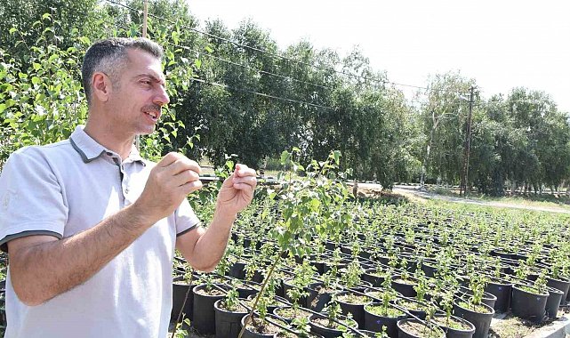 Erzurum Orman Bölge Müdürü Karakurt: "Bölgede yıl sonuna kadar 908 bin fidan toprakla buluşturulacak"