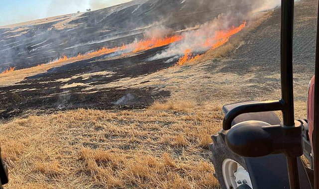 Eskişehir'de otluk alanda çıkan yangın ormana sıçramadan söndürüldü