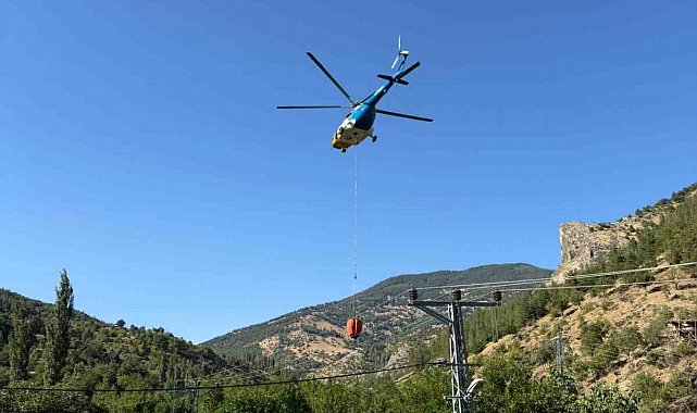 Ev yangını ormana sıçramadan söndürüldü
