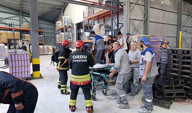 Fabrikada palet makinesine sıkışan işçi ağır yaralandı