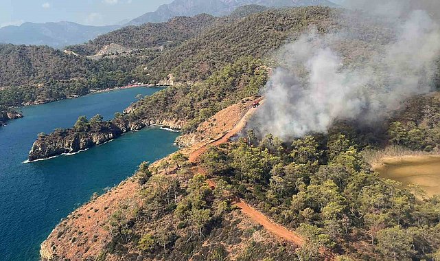 Fethiye'de orman yangını
