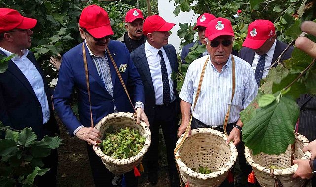 Fındıkta hedef 5 milyar dolar ihracat geliri