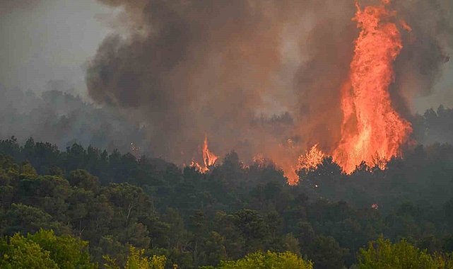 Fransa'da 1949'dan bu yana çıkan en büyük ormanıyla mücadele sürüyor