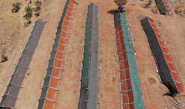 Gastronomi kentinde güneşe bırakılan kurutmalıklar eşsiz görüntüler oluşturuyor