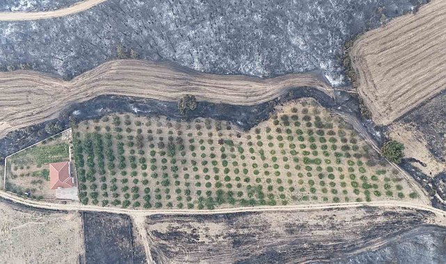 Gelibolu yangınında herkesin yüreğini ferahlatan görüntü