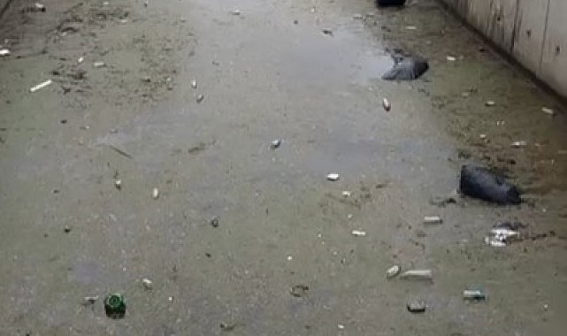 Gemlik körfezi çöplüğe döndü