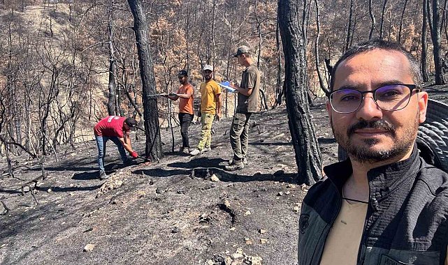 Geyve'nin yanan ormanları yeniden yeşeriyor