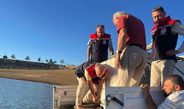 Gökçedere Göleti'ne 150 bin sazan yavrusu bırakıldı