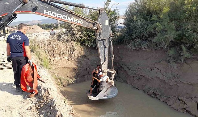 Gölete düşen inekler kepçe ile kurtarıldı