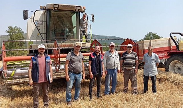 Gölpazarı'nda hasat kontrolleri tüm hızıyla sürüyor