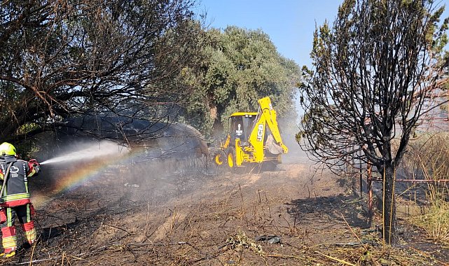 Gömeç'te arazi yangını: Ekiplerin müdahalesi sürüyor
