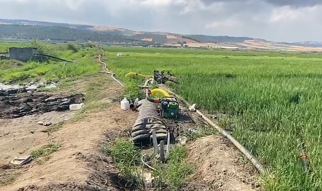 Gönen Ovası'nda çeltik tarlaları susuz kaldı