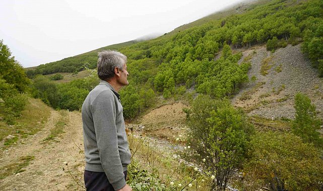 Gümüşhane'de emekli imam kendi imkânlarıyla köyüne 50 bin ağaç dikti