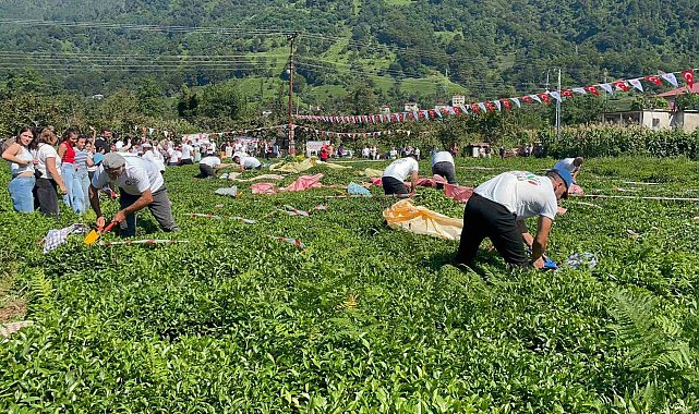 Güneyden Antep'in zılgıtı ve kuzeyden Artvin'in tulum sesi çaylıkta buluştu