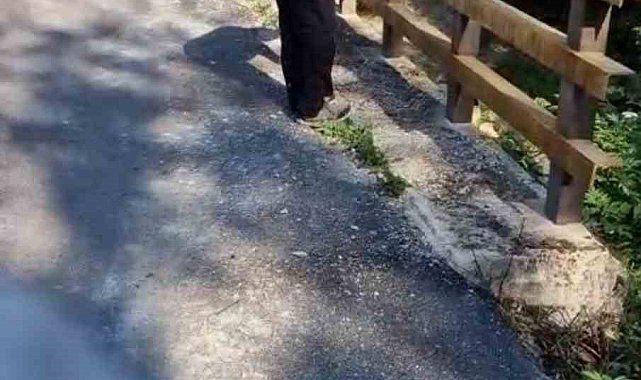 Gurbetçiler köylerinde paslanan köprü korkuluklarını boyadı