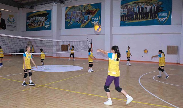 Haliliye Belediyesi voleybolun yıldızlarını keşfediyor