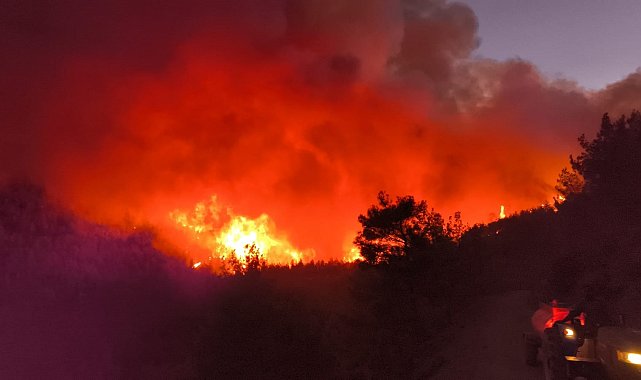 Hatay'da orman yangını