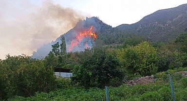 Hatay'da orman yangını