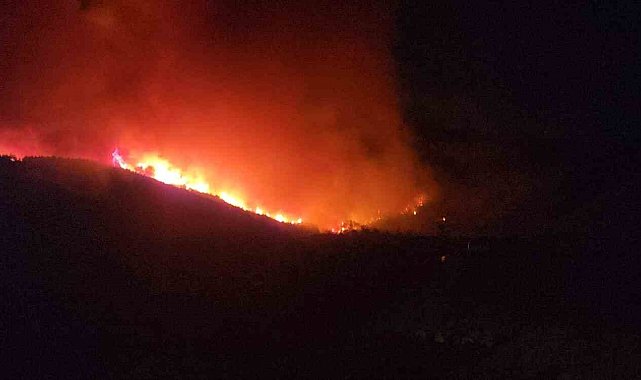 Hatay'da orman yangınının etkili olduğu bölgede evler tahliye ediliyor