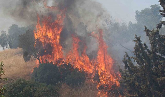 Havaya ateş açan şahıslar yangına sebep oldu