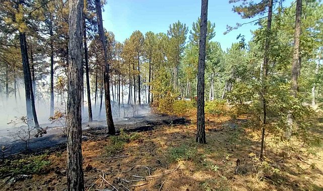 Honaz'daki orman yangınına karadan ve havadan müdahale ediliyor