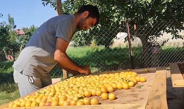 Iğdır'da güneşte kurutulan meyveler pazarda satılıyor