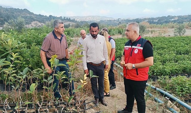 İl Tarım Müdürü Türkmen, fidan üretim sahalarını inceledi