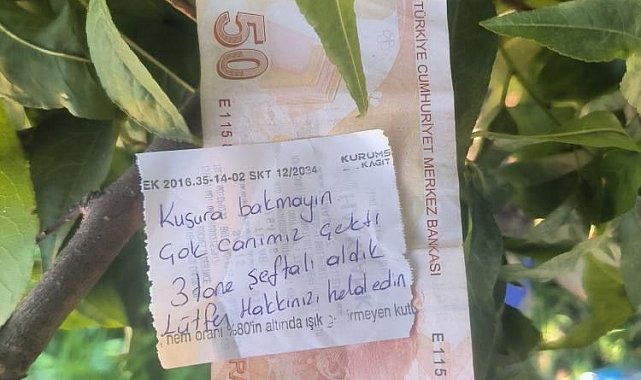 İnsanlık ölmemiş dedirten hareket