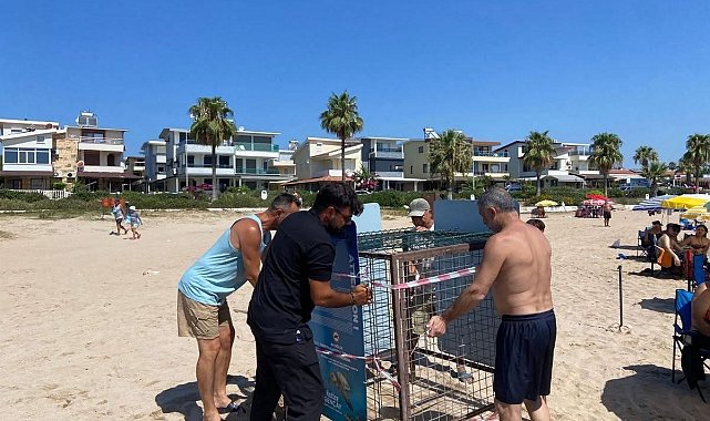 Işık kirliliği yönlerini şaşırttı, gönüllüler kurtardı
